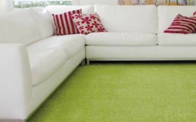 BRING NATURE INDOORS: EDEL GRASS ISN’T JUST FOR OUTSIDE