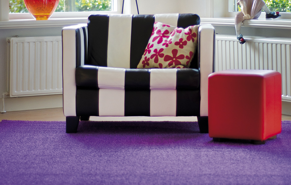 Installation - Colorful - Lila