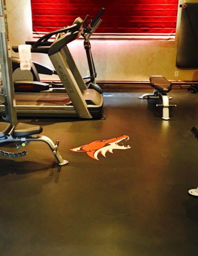 Triathlon Sports Logo - AZ Coyotes Installation