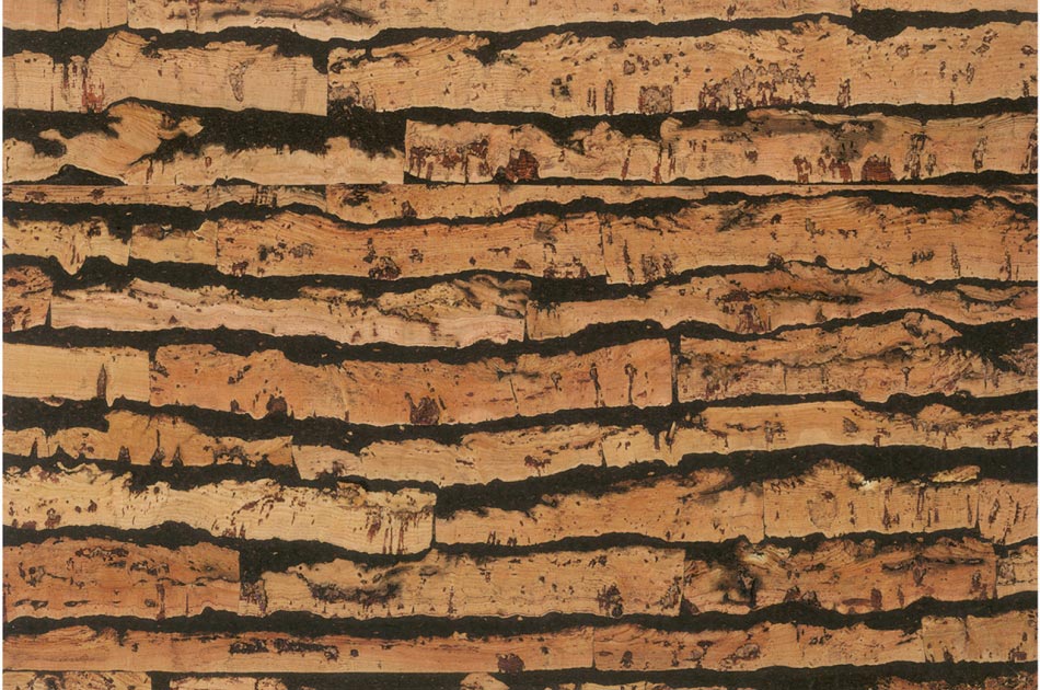 Granorte Decodalle Expression 290-000 expression cork wallcover