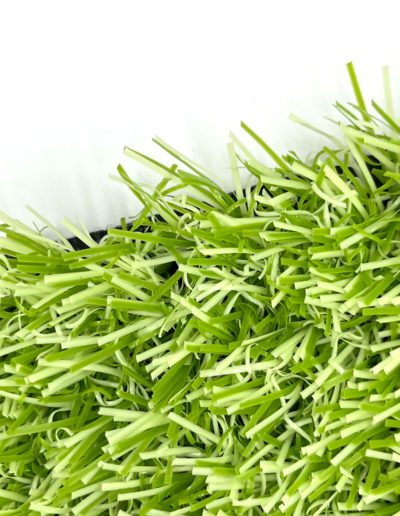 Edel Grass Colorful - Light Green