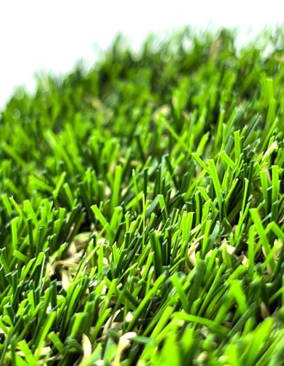 Edel Grass - Lounge