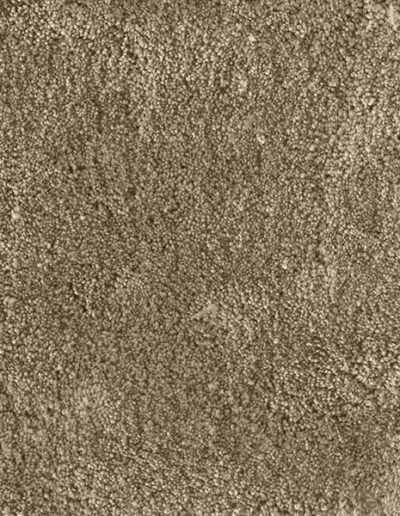Van Besouw 2301 velvet carpet