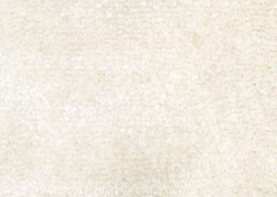 Van Besouw 2608-010