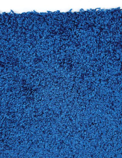 Object Carpet Glory Aquaruis 1509