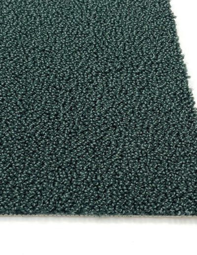 Object Carpet Gloss Liane 7919