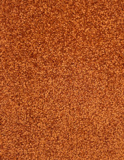 Object Carpet Madra Bernstein 1111