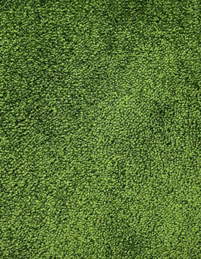 OBJECT CARPET Silky Seal Botanique 1238