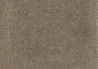 New Mark Carpets Vol. 1 Sojonia Mantis